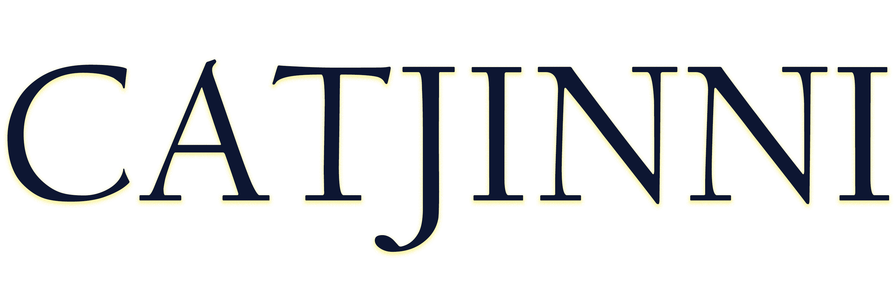 Catjinni Logo main Logo in drawn broken style with a small catjinni as i dot