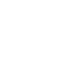 social-item-TikTok