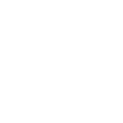 social-item-twitter